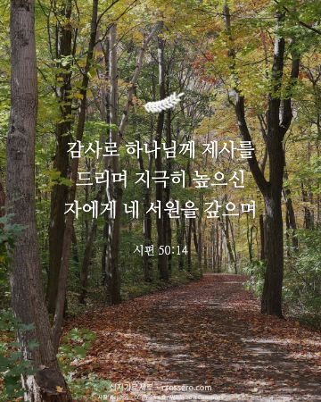 시편 50:14 말씀 카드 - 감사로 하나님께 제사를 드리며 지극히 높으신 자에게 네 서원을… (추수감사 말씀 카드, 가을 사진)
